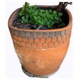 Terracotta Planter - 20 x 14
