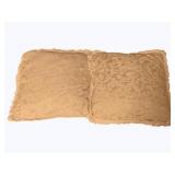 2 Throw Pillows - 16 x 17