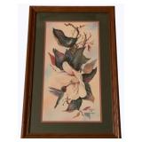 Framed Print - 29 x 18.5