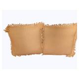 2 Throw Pillows - 24 x 24