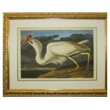GREAT WHITE HERON BY JOHN J. AUDUBON