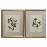 2 FINCHES BY JOHN J. AUDUBON