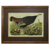 GREAT AMERICAN HEN & YOUNG GICLEE