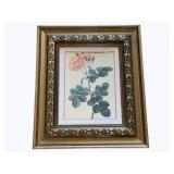 Framed Print - 19 x 16