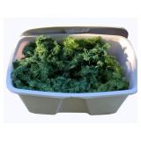 Tote of Holiday Decor