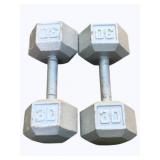 2 - 30lb Weights - 12"