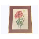 Framed Watercolor - Signed - 15 x 19