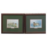 Cinnamon Teal/ American Widgeon by John J. Audubon