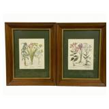 2 Framed Prints - 16 x 20