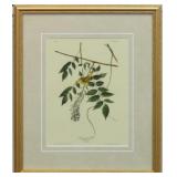 Blue Eyed Yellow Warbler by John J Audubon