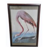 Flamingo Art Framed 39 x 28