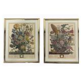 Pair Framed Prints 10 x 8