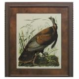 Wild Turkey Giclï¿½e by John J. Audubon