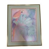 Framed Parrot Print 40 x 32