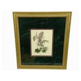 Framed Print - 16.5 x 18.5