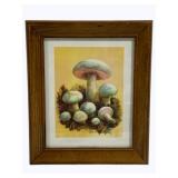 Framed Print - 10.5 x 12.5