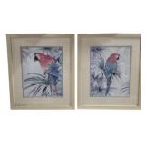Pair Parrot Framed Prints 21 x 18