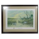 "Pintails Resting at Cape Charles" By John Macleod