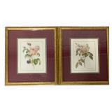 Pair Floral Framed Prints 17 x 15