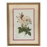 Framed Print 17 x 13