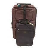 2 Rolling Suitcases