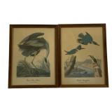 Pair Framed Audubon Prints 13.25 x 10