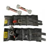 Everlast Ankle Weights & Two 3lb Dumbbells