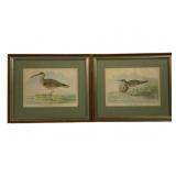 Pair Ridgway Framed Bird Prints 15.5 x 13