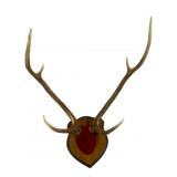 Deer Antlers Mount - 24" Spread