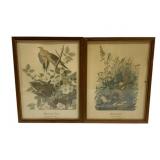 2 Framed Audubon Bird Prints - 10 x 13