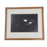 Framed Color Photo of Eagle by Thomas D. Mangelsen