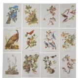 Set of 18 Best Loved Bird Prints by Audubon