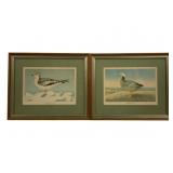 Pair Ridgway Framed Bird Prints 15.5 x 13