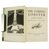 The Curious Lobster & The Curious Lobsters Island