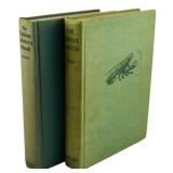 The Curious Lobster & The Curious Lobsters Island