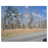 1 Acre Wooded Lot on David Giles Lane