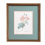 Framed Print - 14 x 16