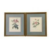 Pair Framed Prints - 13.5 x 15.5