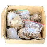 Box of Seashells