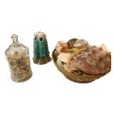 Lot of Seashells and More