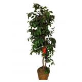 Artificial Indoor Tree - 74" tall