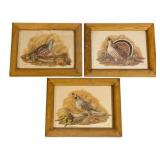 3 Framed Prints - 9.5 x 7.5 each