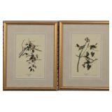 Set of 2 Antique Birds by John J Audubon