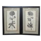 Pair Uttermost Botanical Prints Under Glass