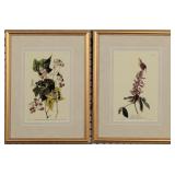 Set of 2 Antique Birds by John J Audubon