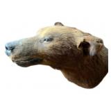 Bear Head Taxidermy Mount 28'x20'x20'
