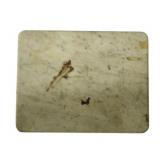 Antique White Marble Top 18'x14'