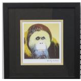 Orangutan print by Andy Warhol