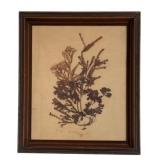 Framed Dried/Pressed  Flowers 14.5"x12.5"