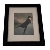Framed Print 11.25"x8.5"